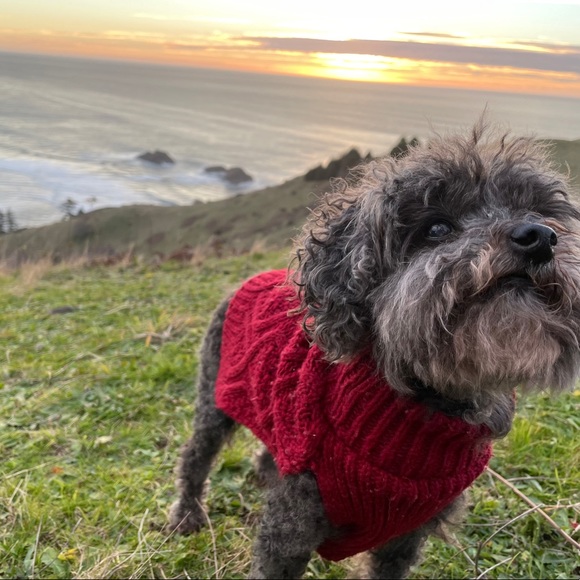 Meet The Seller - Picture 3 of 3